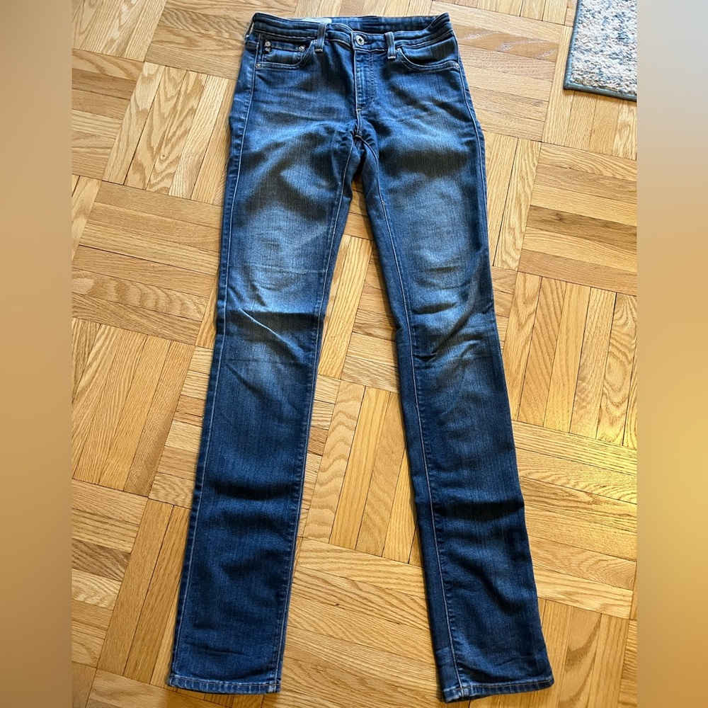 Agolde the Premier Skinny Straight Blue Denim Jeans